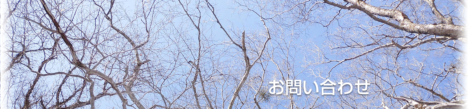 お問い合わせ